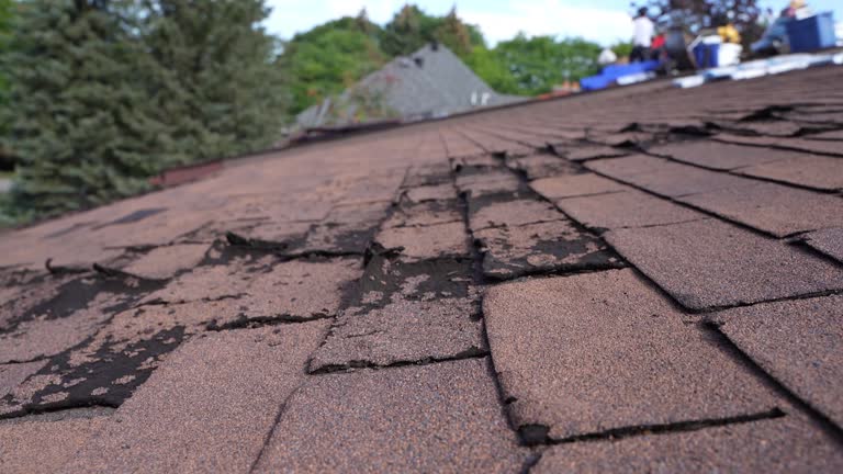 Roof Insulation Installation